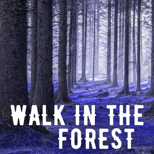 Walk in the Forest