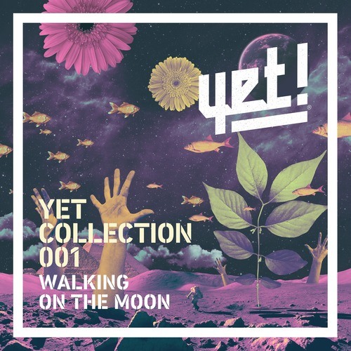 Various Artists-Walking on the Moon