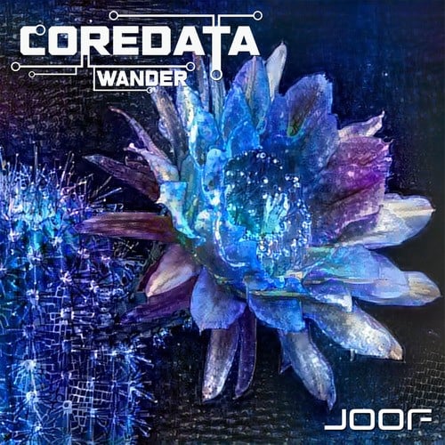 Oracle, Coredata-Wander