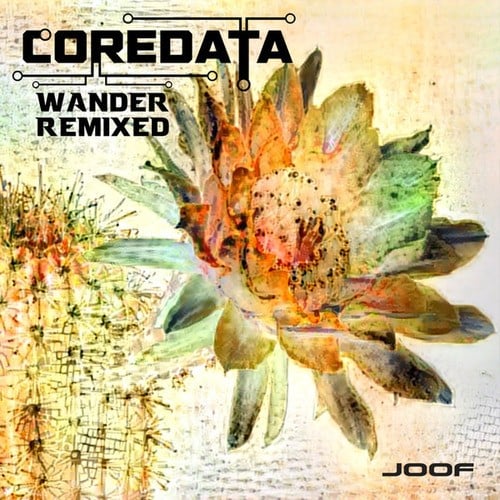 Various Artists-Wander Remixed
