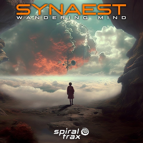 Synaest-Wandering Mind