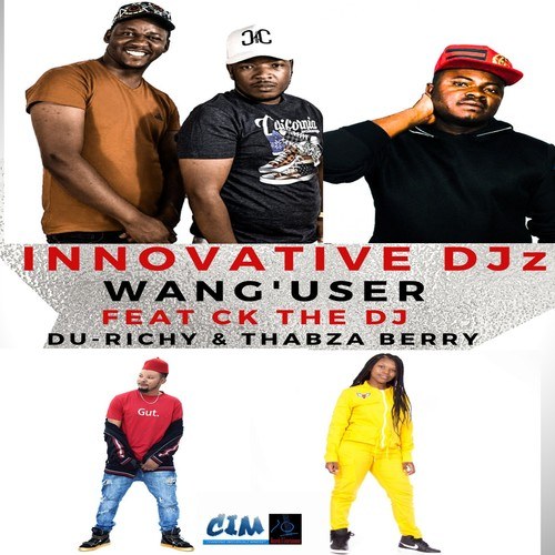 Thabza Berry, INNOVATIVE DJz, CK The Dj, Du Richy-Wang' User