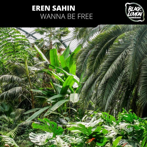 Eren Sahin-Wanna Be Free
