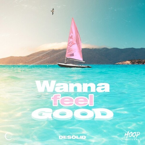 DeSolid-Wanna Feel Good