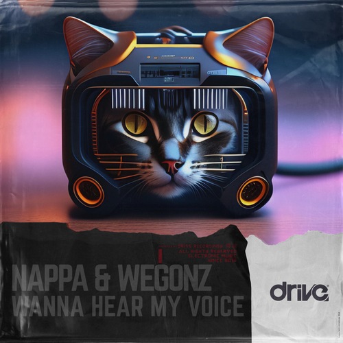 NappaMusic, Wegonz-Wanna Hear My Voice