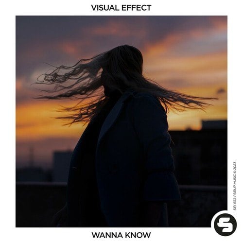 Visual Effect-Wanna Know