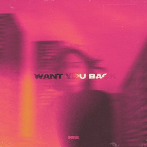 NM-Want You Back