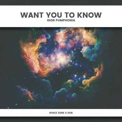 Igor Pumphonia-Want You to Know (Space Zone X Dub)