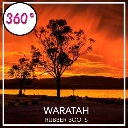 Rubber Boots-Waratah