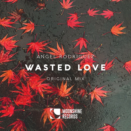 Angel Rodriguez-Wasted Love