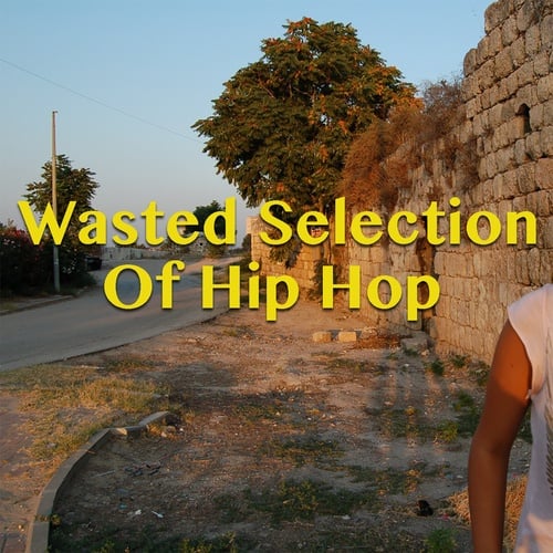 Wasted Selection Of Hip Hop