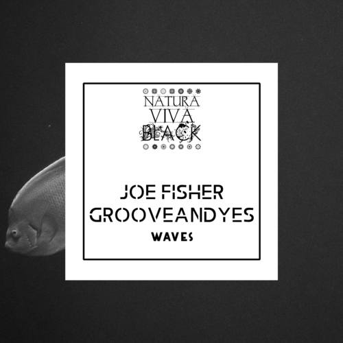 Joe Fisher, GrooveANDyes-Waves