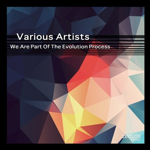 Various Artists-We Are Part of the Evolution Process