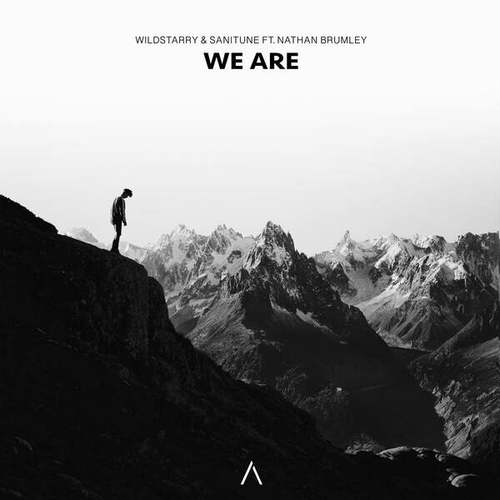 WildStarry, SANITUNE, Nathan Brumley-We Are