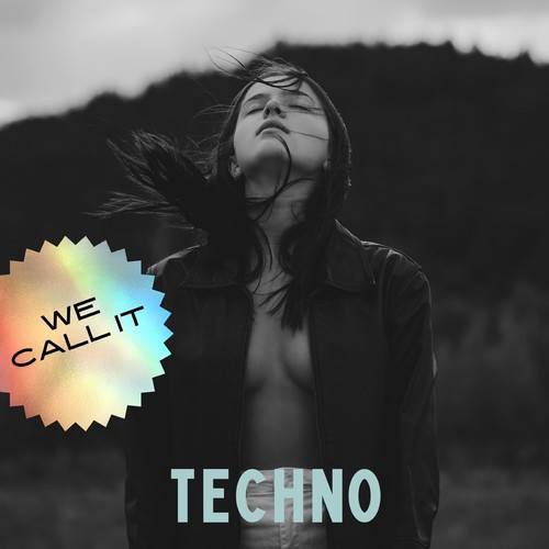 Various Artists-We Call It Techno