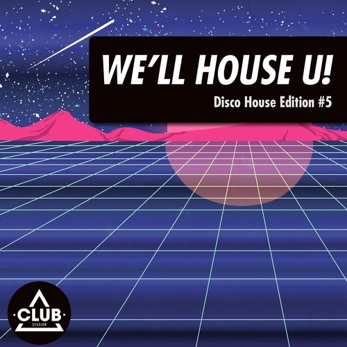 Various Artists-We'll House U!: Disco House Edition, Vol. 5