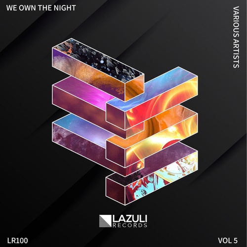 Various Artists-We Own The Night V.A, Vol. 5