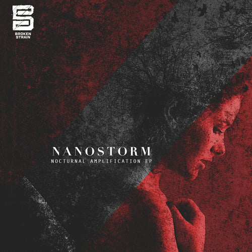 Nanostorm-We Too Are Machines