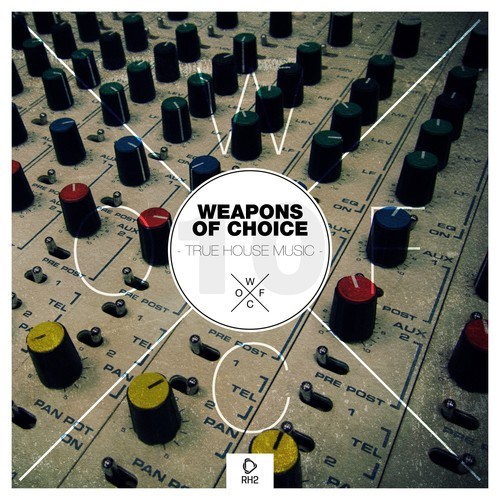 Various Artists-Weapons of Choice - True House Music #10