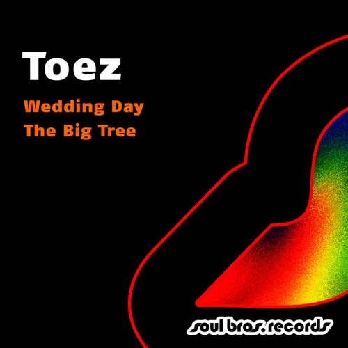 Toez-Wedding Day / The Big Tree