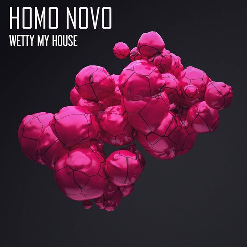 Homo Novo-Wetty My House