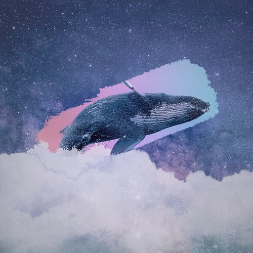 Joltask-Whale Galaxy