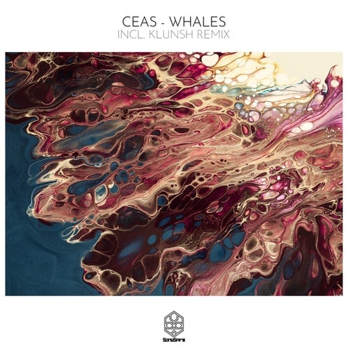 Ceas, Klunsh-Whales