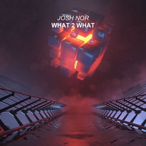 Josh Nor-What 2 What