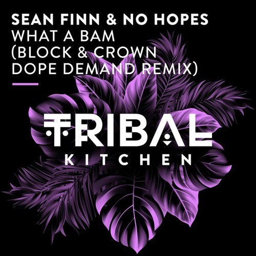 No Hopes, Sean Finn, Block & Crown-What a Bam (Block & Crown Dope Demand Extended Remix)