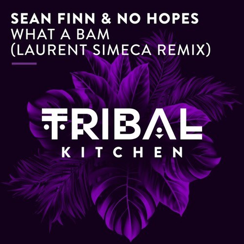 Sean Finn, No Hopes, Laurent Simeca-What a Bam (Laurent Simeca Remix)