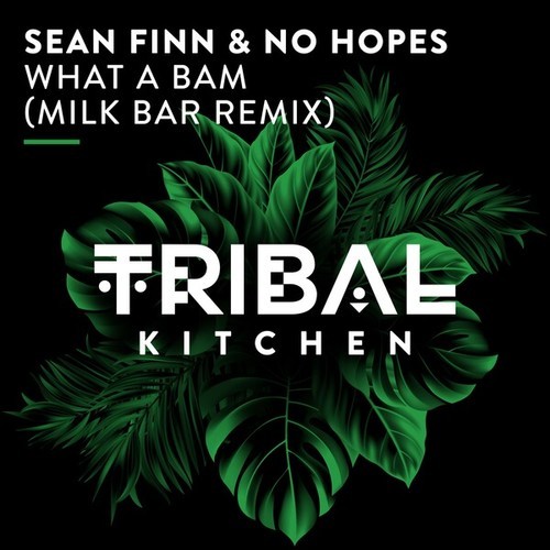 Sean Finn, No Hopes, Milk Bar -What a Bam (Milk Bar Extended Remix)