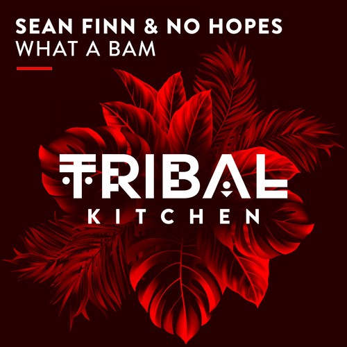 Sean Finn, No Hopes-What a Bam