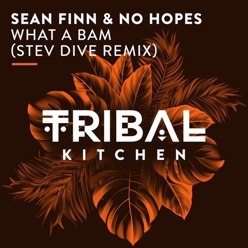 No Hopes, Sean Finn, Stev Dive-What a Bam (Stev Dive Radio Edit)