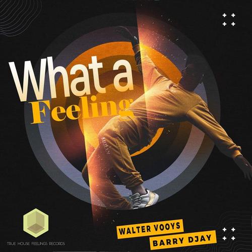Walter Vooys & Barry DJay-What A Feeling