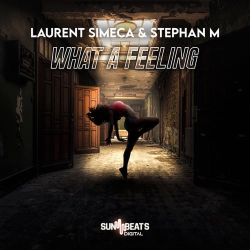 Laurent Simeca, Stephan M-What a Feeling