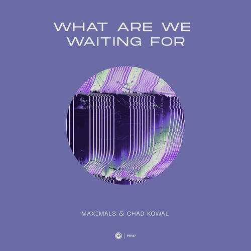 Maximals, Chad Kowal-What Are We Waiting For