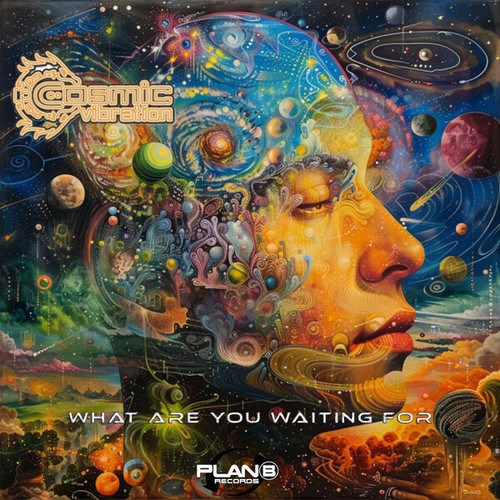 Cosmic Vibration-What Are You Waiting For