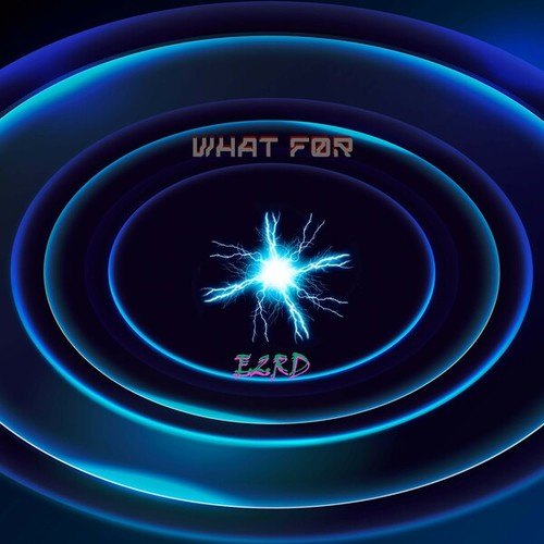 E2rd-What For?