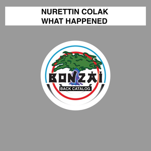 Nurettin Colak, Addex, Invisible Sounds-What Happened