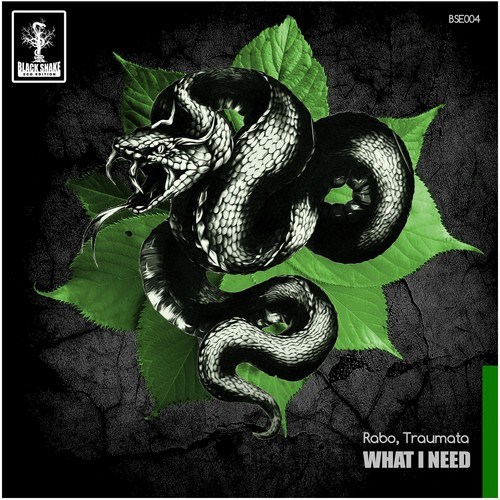 Traumata, Rabo-What I Need