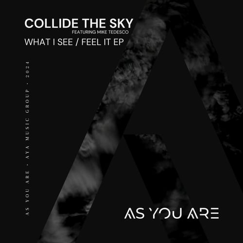 Collide The Sky, Mike Tedesco-What I See / Feel It