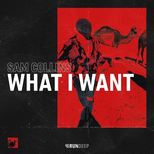 Sam Collins-What I Want