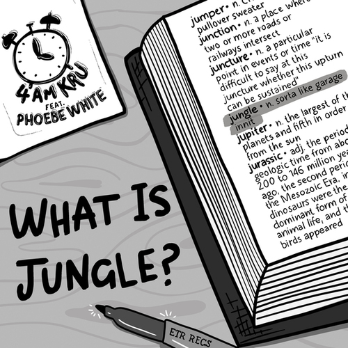 4am Kru, Phoebe White-What Is Jungle