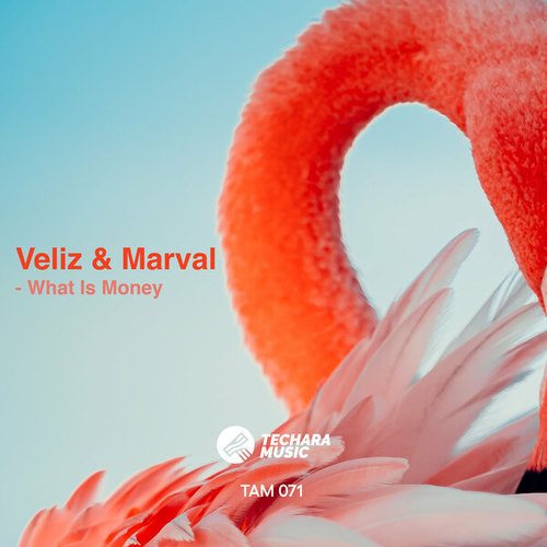 Veliz & Marval-What Is Money