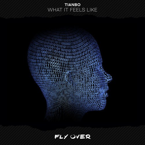 TIANBO-What It Feels Like