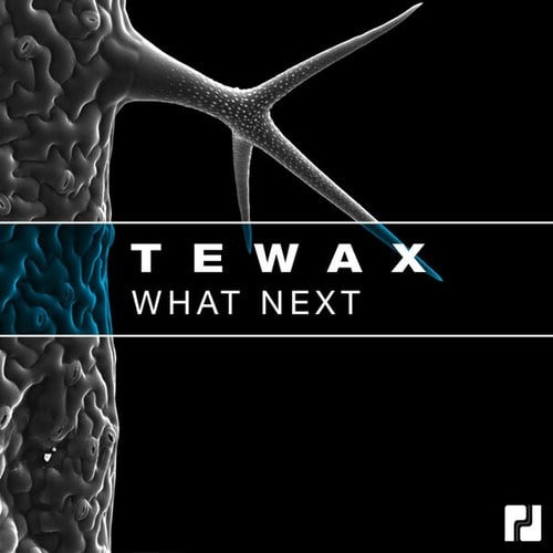 Tewax-What Next