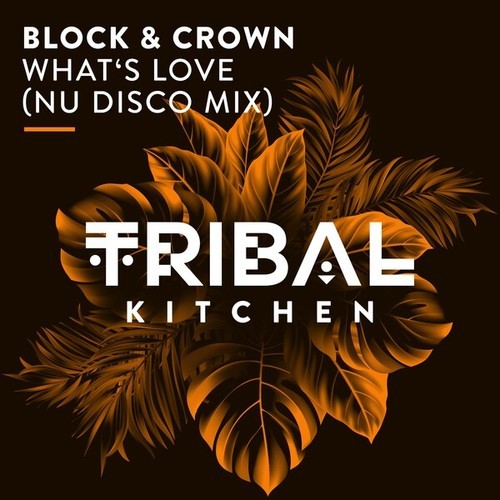Block & Crown-What's Love (Nu Disco Extended Mix)