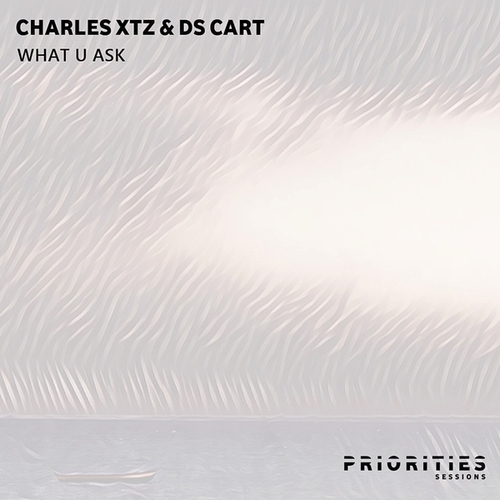 Charles Xtz, Ds Cart-What U Ask