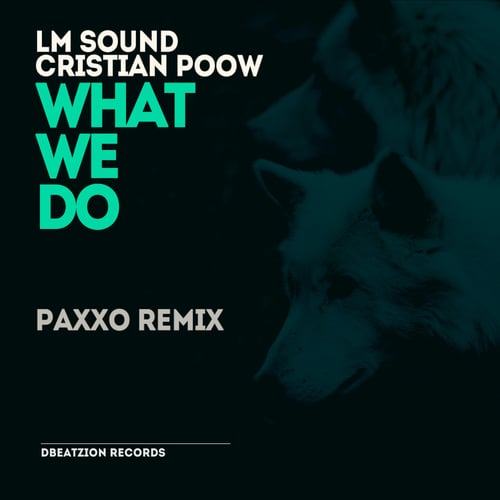 LM SOUND, Cristian Poow , Paxxo-What We Do