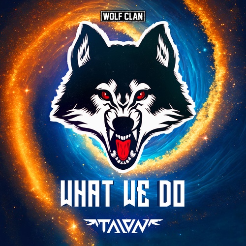 Talon-What We Do
